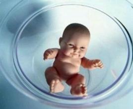案例